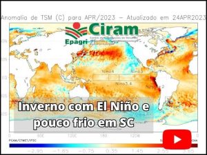 Leia mais sobre o artigo Vídeo – Inverno com El Niño e pouco frio em SC