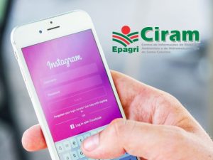Read more about the article Instagram Epagri/Ciram no ar