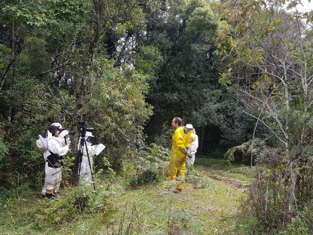 Leia mais sobre o artigo Plataforma de monitoramento apícola da Epagri/Ciram, Apis Online, será divulgada na TV Tokyo do Japão