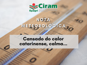 Read more about the article Cansado do calor catarinense, calma…
