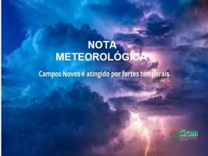 Read more about the article Campos Novos é atingido por fortes temporais