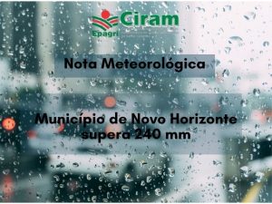 Read more about the article Município de Novo Horizonte supera 240 mm