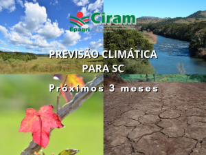Read more about the article Previsão Climática – 3° ano consecutivo com primavera de La Niña