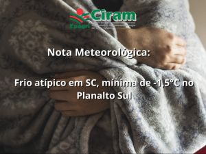Read more about the article Frio atípico em SC, mínima de -1,5°C no Planalto Sul