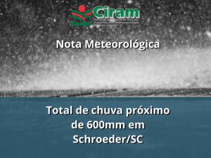 Read more about the article Total de chuva próximo de 600mm em Schroeder/SC