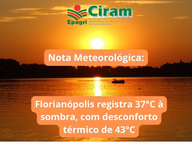 Read more about the article Florianópolis registra 37°C à sombra, com desconforto térmico de 43°C