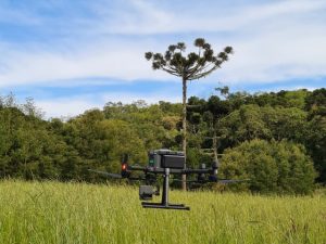 Leia mais sobre o artigo Projeto de pesquisa agrícola utiliza drone para coleta de imagens em SC