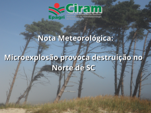 Read more about the article Microexplosão provoca destruição no Norte de SC