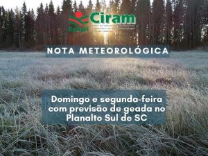 Read more about the article Domingo e segunda-feira com previsão de geada no Planalto Sul de SC