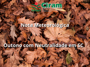 Read more about the article <strong>Outono com Neutralidade em SC</strong>