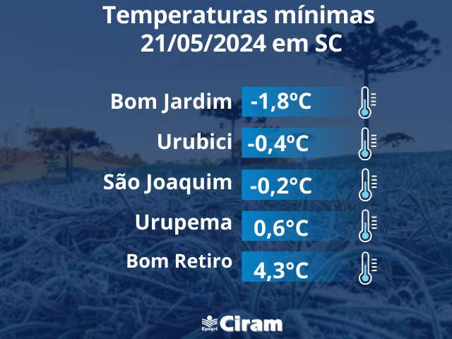 Leia mais sobre o artigo Temperatura mínima  de -1,8ºC em Bom Jardim  da Serra
