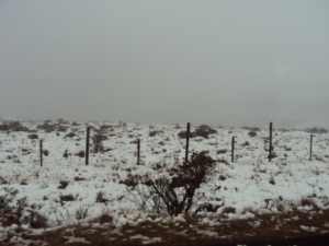 Leia mais sobre o artigo Lembranças do inverno em SC: a NEVE de 2010