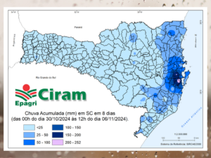 Leia mais sobre o artigo Chuva da semana na Grande Florianópolis resulta em totais acima de 200mm