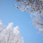 É comum o frio na Serra catarinense em pleno novembro?