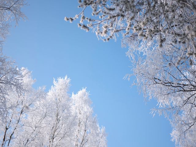 Leia mais sobre o artigo É comum o frio na Serra catarinense em pleno novembro?