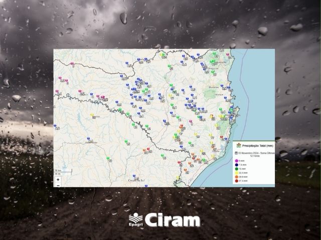 Leia mais sobre o artigo Agroconnect: veja registros da chuva no domingo