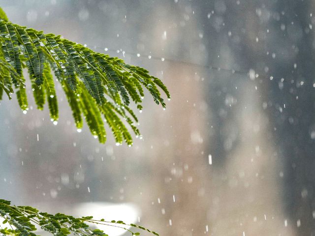 Leia mais sobre o artigo Chuva de 111 mm na Grande Florianópolis