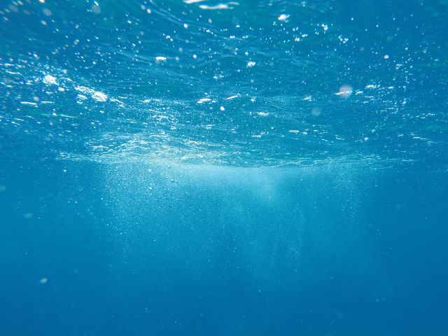 Leia mais sobre o artigo Dia Mundial dos Oceanos – comemorado em 08 de junho