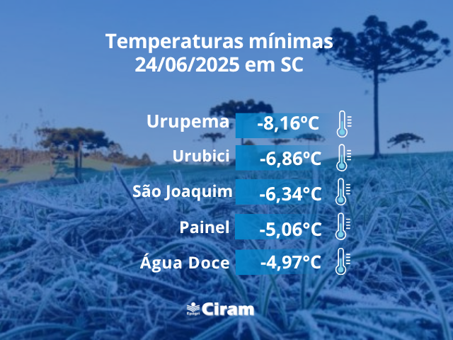 Leia mais sobre o artigo Temperatura de -8,16°C na Serra catarinense neste início de inverno