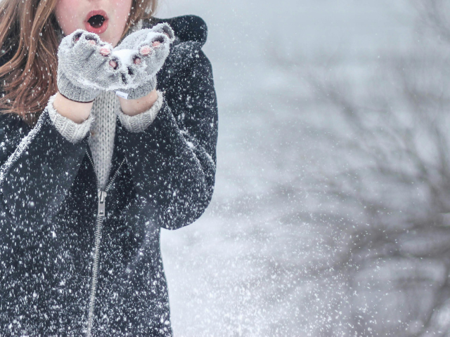 Leia mais sobre o artigo Primeira neve do inverno 2025
