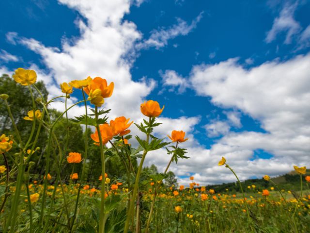 Leia mais sobre o artigo Primavera 2025 traz dias mais longos e elevação de temperatura
