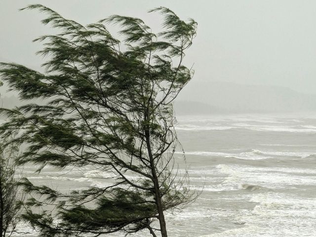 Leia mais sobre o artigo Vento de 80 km/h na Grande Florianópolis e Litoral