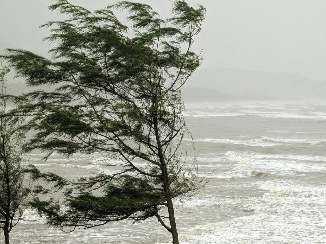Leia mais sobre o artigo Vento de 70 km/h na Grande Florianópolis e Litoral Sul
