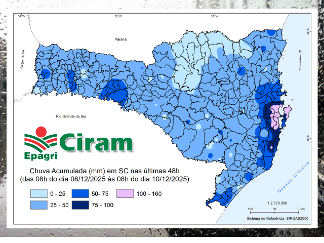Leia mais sobre o artigo Chuva acima de 100 mm na Grande Florianópolis