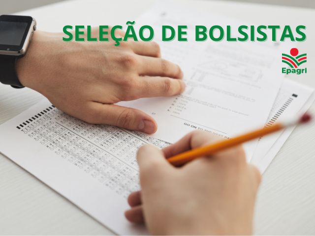 Leia mais sobre o artigo Projeto de pesquisa da Epagri/Ciram na área de monitoramento e previsão ambiental abre vagas para bolsistas
