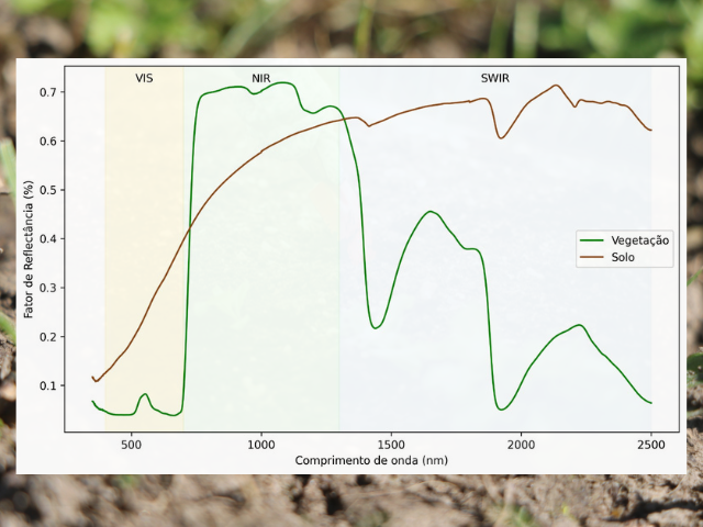 Leia mais sobre o artigo Você sabe o que essas curvas revelam sobre vegetação e solo?