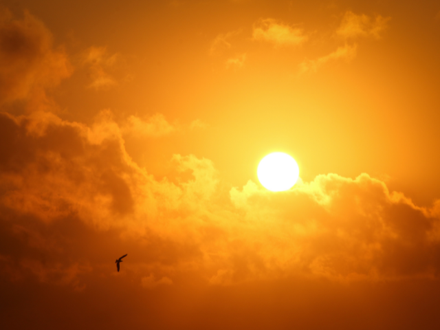 Leia mais sobre o artigo Vídeo: Início de semana quente e com temporais isolados em SC