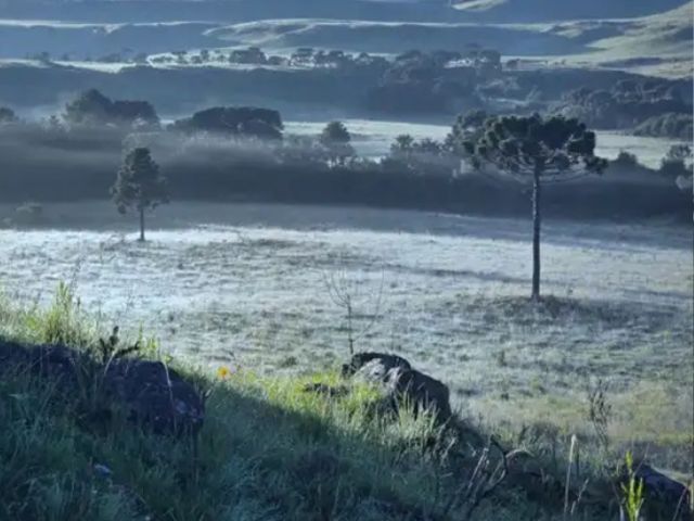 Leia mais sobre o artigo  Janeiro com temperatura baixa e geada ao amanhecer no Planalto Sul de SC