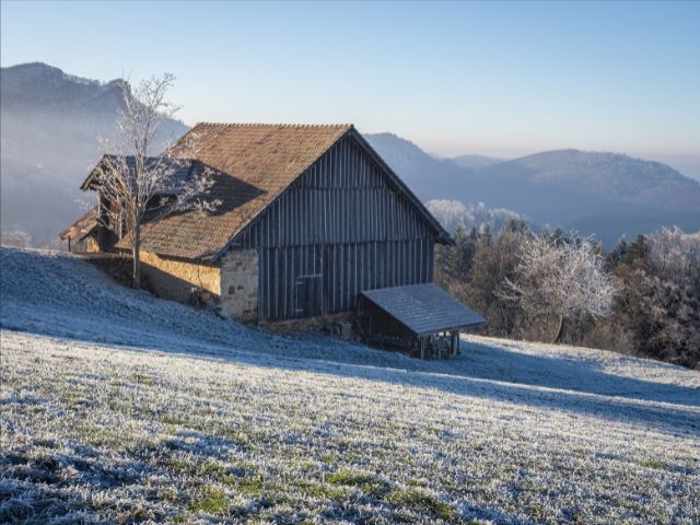 Leia mais sobre o artigo Frio recorde e 49 municípios com temperatura negativa