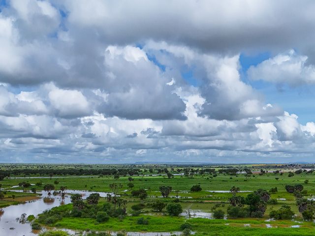 Leia mais sobre o artigo Inverno e primavera com El Niño: chuva e temperatura acima da média