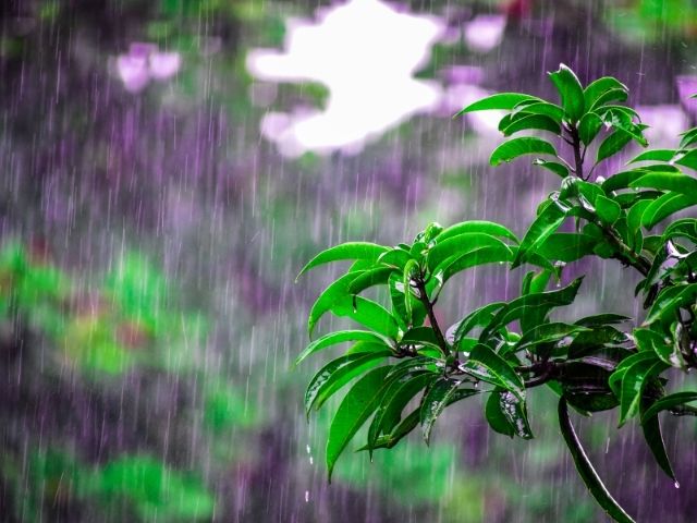 Leia mais sobre o artigo Totais de chuva 100 a 175mm em boa parte de SC